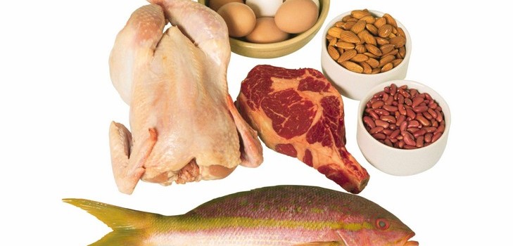 Proteindiet er den rigtige vej til en ideel figur
