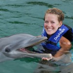 Delfin terapi: badning med delfiner Delfin terapi: badning med delfiner