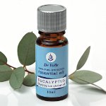 Eucalyptus æterisk olie Eucalyptus æterisk olie
