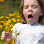 Sådan helbrede en allergi Sådan helbrede en allergi