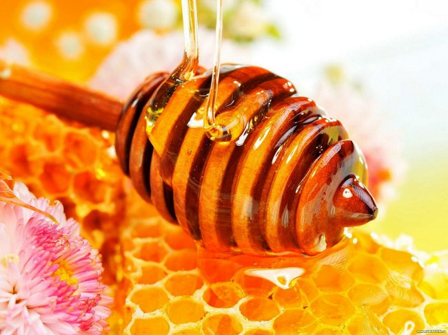 Propolis behandling Propolis behandling