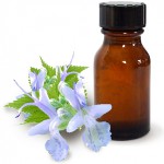 Patchouli olie og dens fordelagtige egenskaber Patchouli olie og dens fordelagtige egenskaber