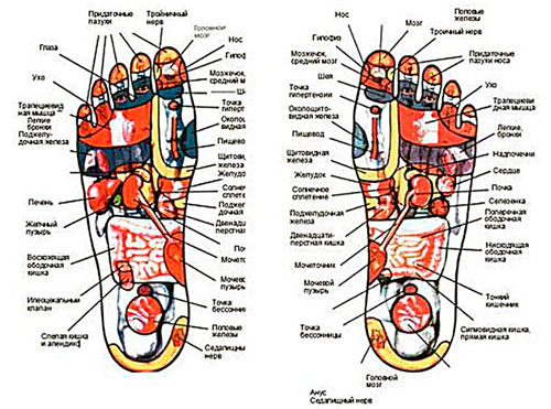 Fodmassage - vi genopliver kroppen