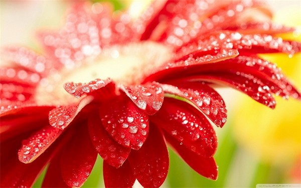 Onanere under menstruation? Dette er normalt!