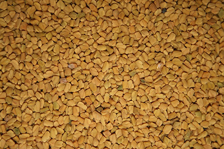 Fenugreek - hvad er det? Nyttige egenskaber af fenegreek (med foto)