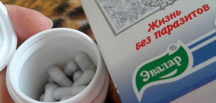 Et antiparasitisk lægemiddel er Troychchatka Evalar. Komposition. Instruktioner. anmeldelser