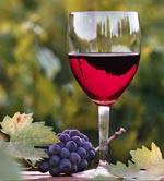 Vin kost Vin kost